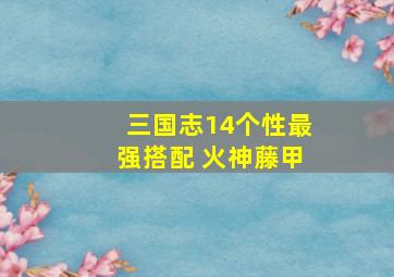 三国志14个性最强搭配 火神藤甲